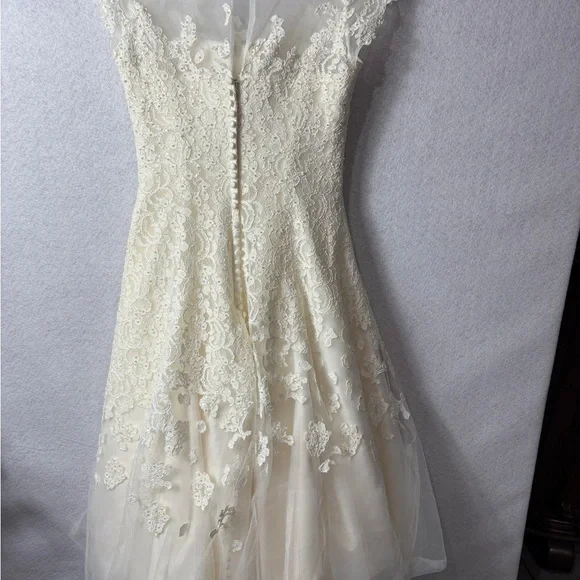 Ivory Lace A-Line Dress with Sheer Cap Sleeves - Picture 5 of 6